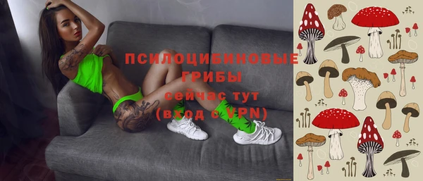 гидра Алексин