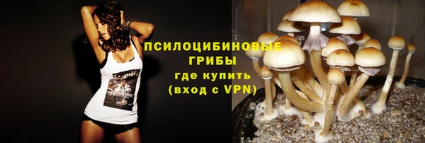 а пвп мука Абаза